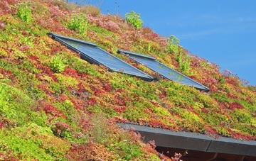Herniss living roof systems